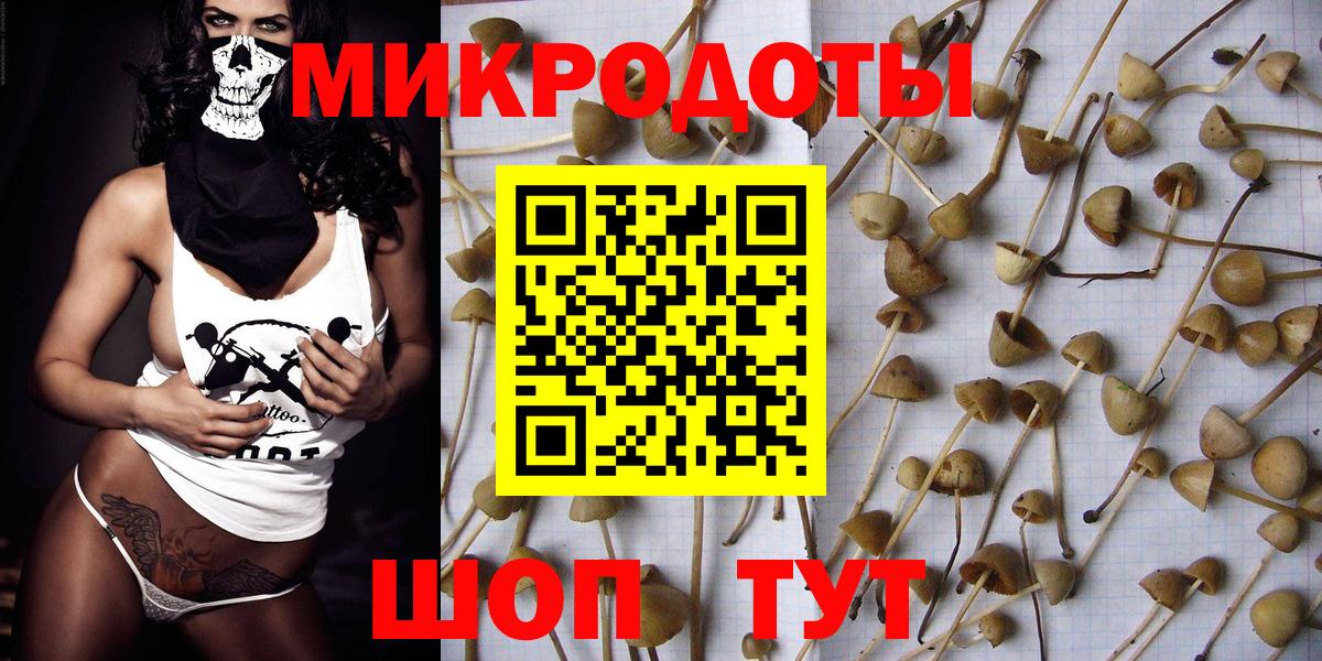 Галлюциногенные грибы Cubensis Кушва